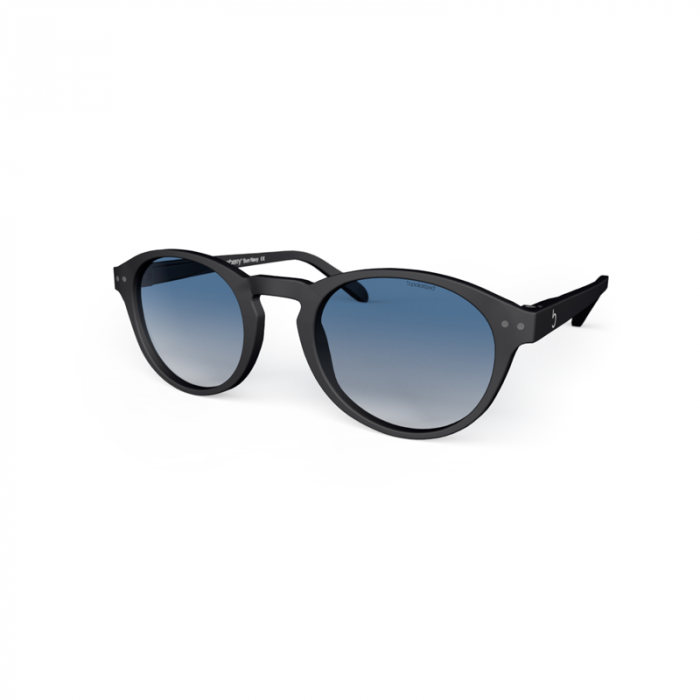 Polarized Sunglasses - Blueberry - Blueberry EN